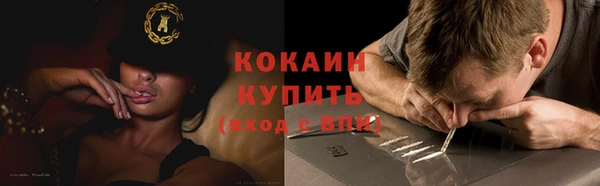 ешки Бронницы